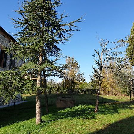 Podere Il Poggio Asciano Extérieur photo