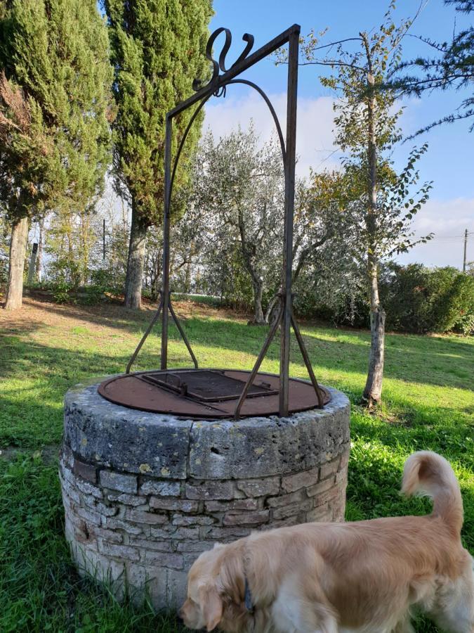 Podere Il Poggio Asciano Extérieur photo