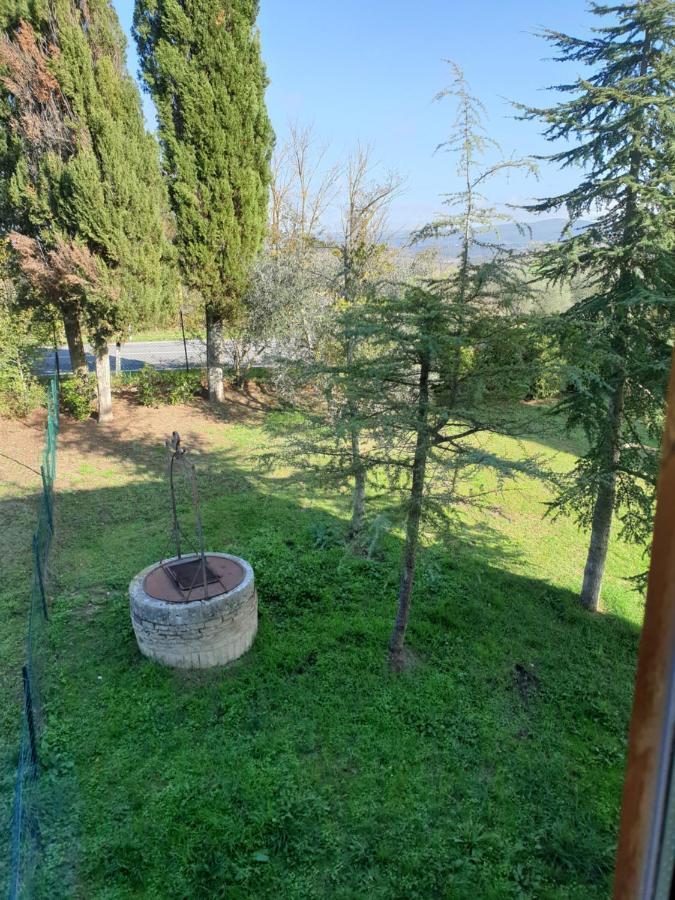 Podere Il Poggio Asciano Extérieur photo