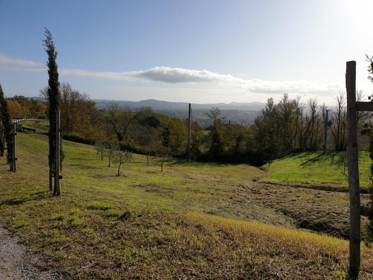 Podere Il Poggio Asciano Extérieur photo